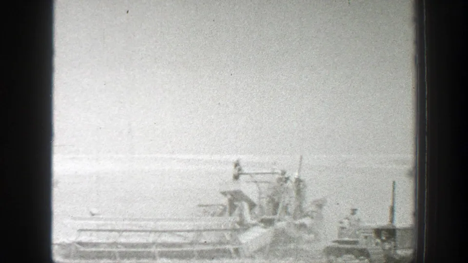1939 California 8mm frame showing harvester machines spread across a bright rural field under a pale sky.