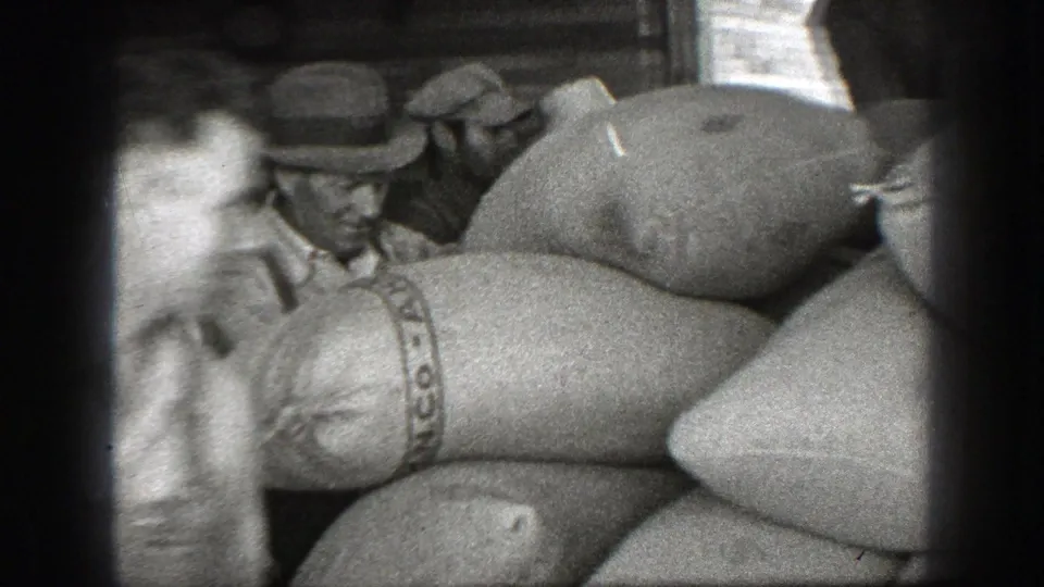 In 1939 California footage, adult men in work hats gather beside stacked sacks in a dim wooden agricultural interior.