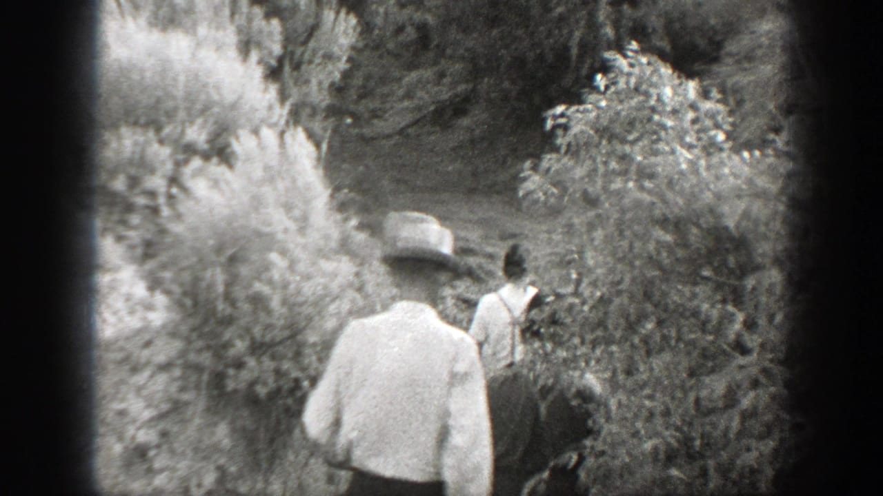 Men walk along a narrow path into brush and trees, seen from behind.