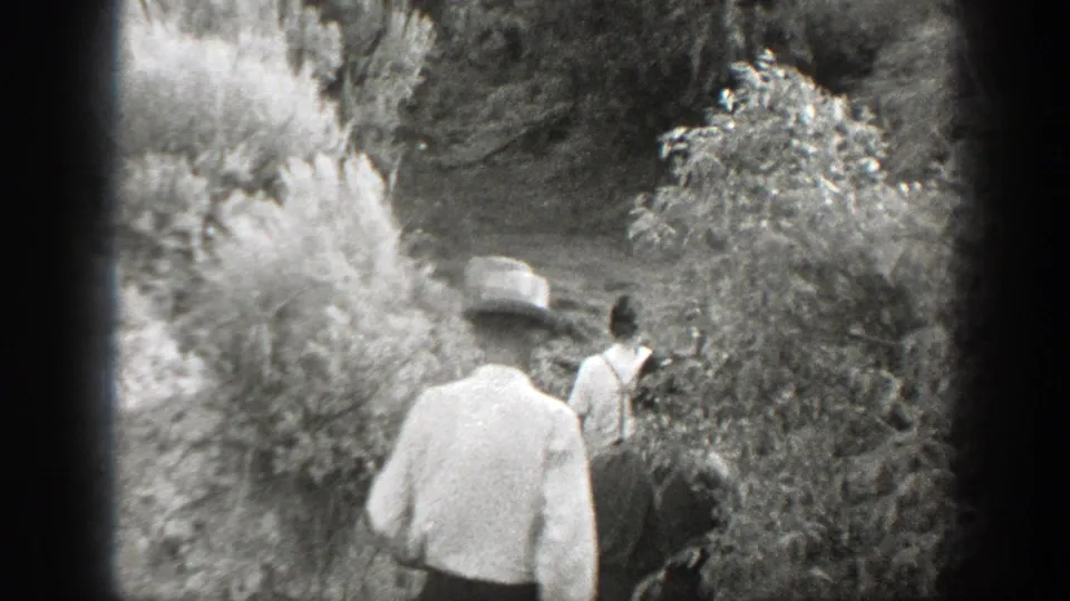 Two men in hats follow another man into a brushy wooded area in 1939 California 8mm footage.