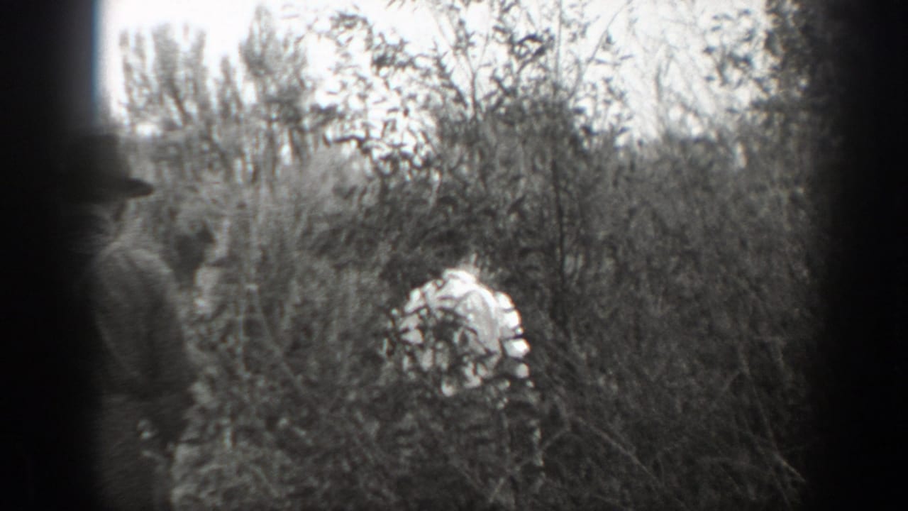 In this 1939 California 8mm frame, adult men are partly hidden by dense bushes and trees as they move along an outdoor path.