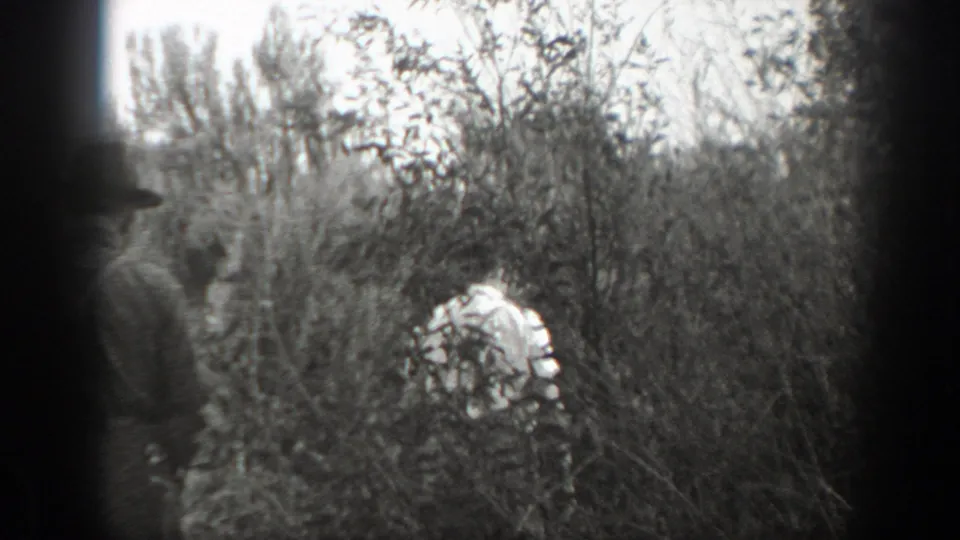In this 1939 California 8mm frame, adult men are partly hidden by dense bushes and trees as they move along an outdoor path.