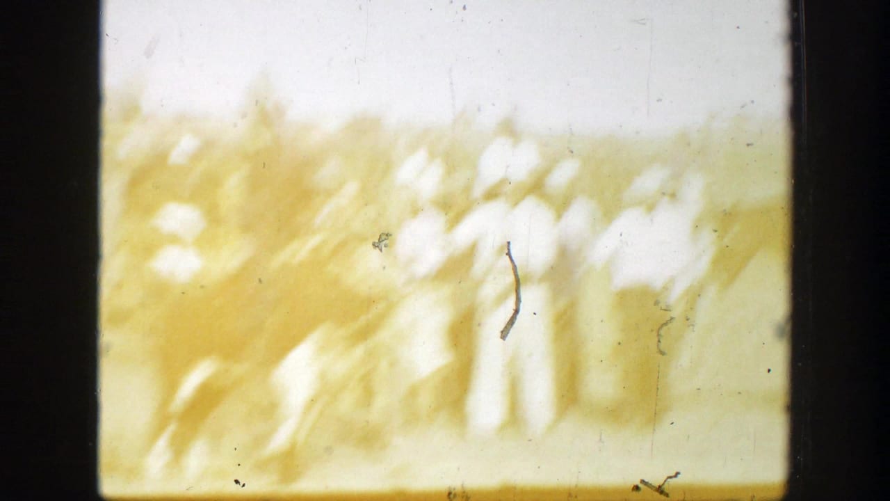 1939 California 8mm frame showing a blurred bull and rider crossing a sunlit dirt rodeo arena.