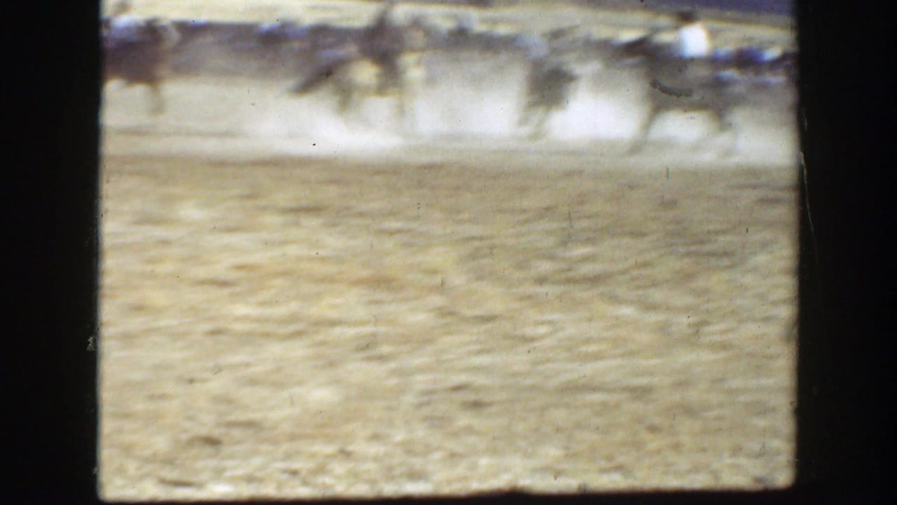 Cattle and riders move across a dusty field with spectators in the distance.