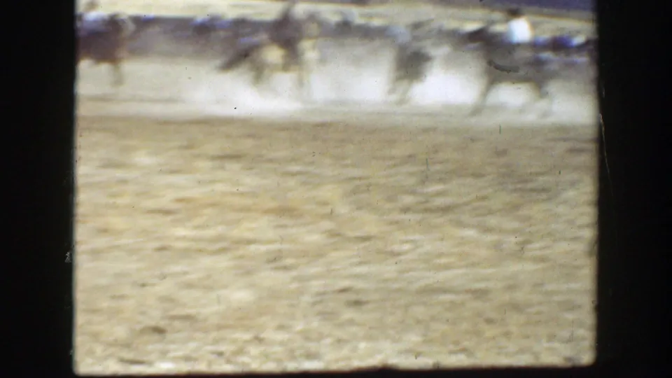 1939 California home-movie frame showing cattle and horseback riders crossing a dusty field as spectators watch from the far side.
