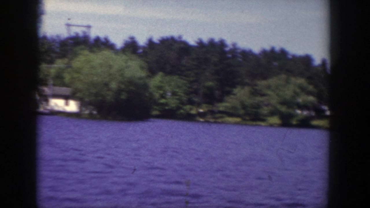 Tree-lined lakeshore across rippled blue-purple water with a small light-colored house at left.