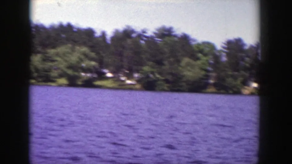 1953 Wisconsin lake view with rippled water, dense shoreline trees, and distant houses partly obscured by foliage.