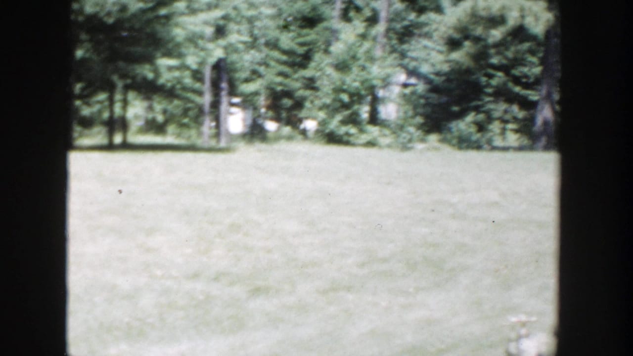 Grassy yard bordered by trees, seen through dark vertical framing.