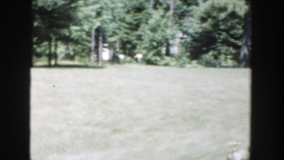 1953 Wisconsin home-movie frame showing a pale grassy backyard with mature trees and dark vertical edges in the foreground.