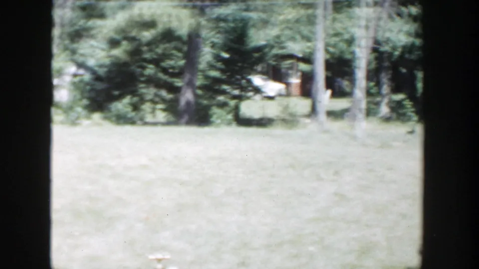 Mid-pan view of a Wisconsin backyard in 1953, with grass, dense trees, and a partly obscured small structure in the distance.
