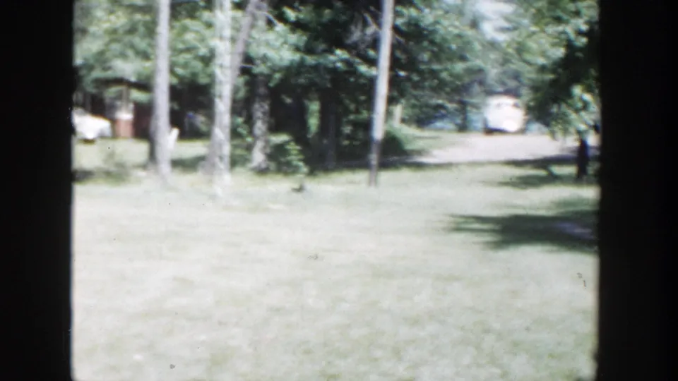 1953 Wisconsin yard view with mature trees, a pale car in the distance, and small buildings partly hidden by shade.