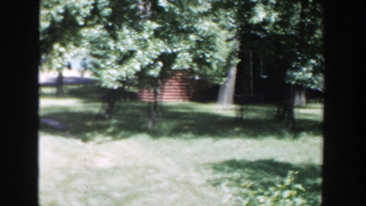 Sunlit grassy yard with leafy trees and a red-toned structure in the background.