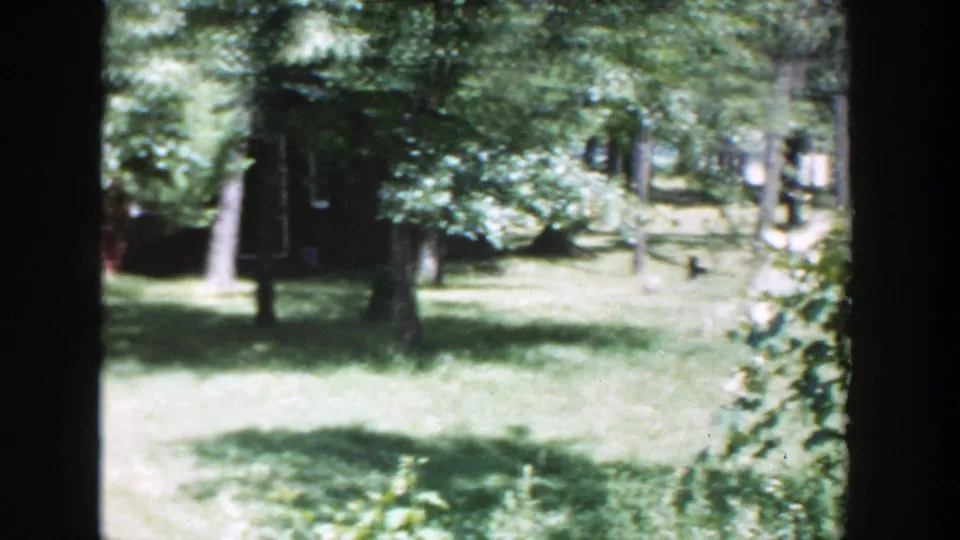 1953 Wisconsin view across a bright lawn toward mature trees and a partially obscured dark red or brown structure.