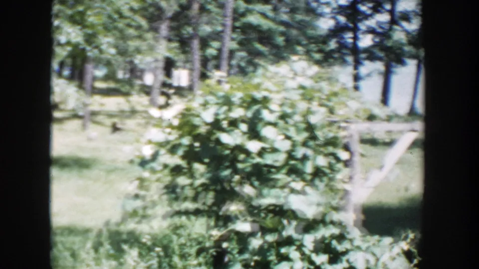 1953 Wisconsin frame showing shrubs and a wooden fence in a grassy yard, with trees and lake water visible in the background.