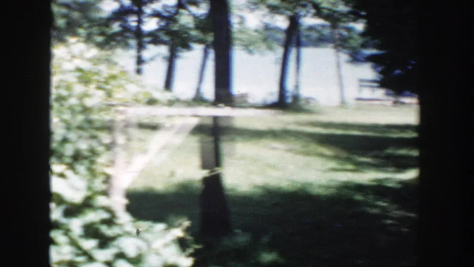 1953 Wisconsin lakeside yard view with a wooden fence, leafy foreground plants, grass, trees, and water beyond.