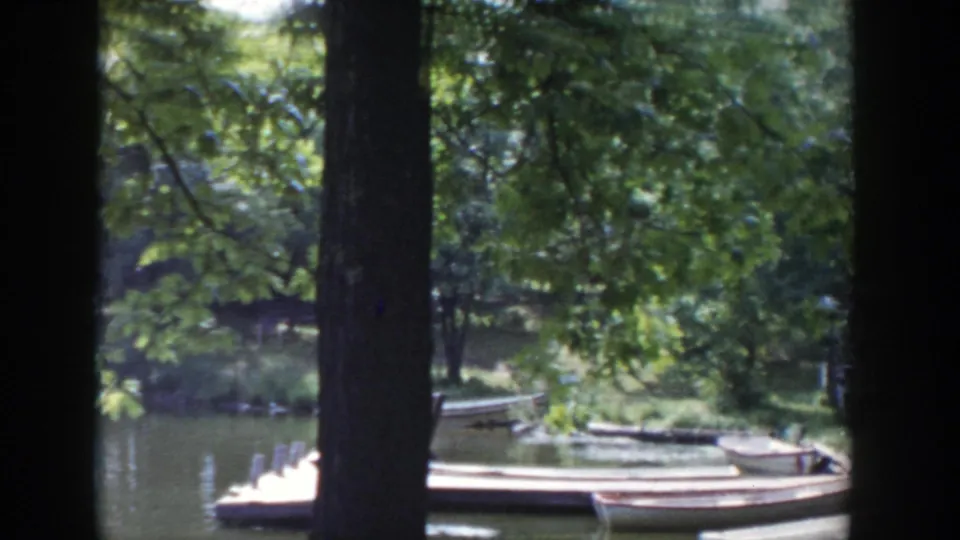 1953 Wisconsin home-movie view across tree trunks toward a lakeside pier, rowboats, and shaded shoreline vegetation.