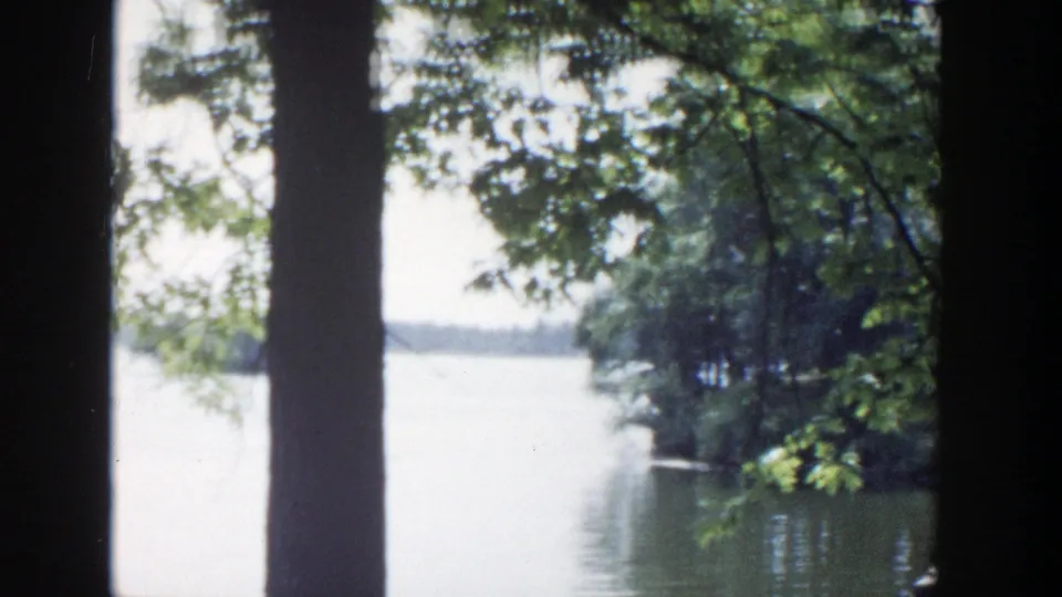 1953 Wisconsin home-movie view of bright lake water framed by dark tree trunks and leafy branches, with a wooded shoreline at right.