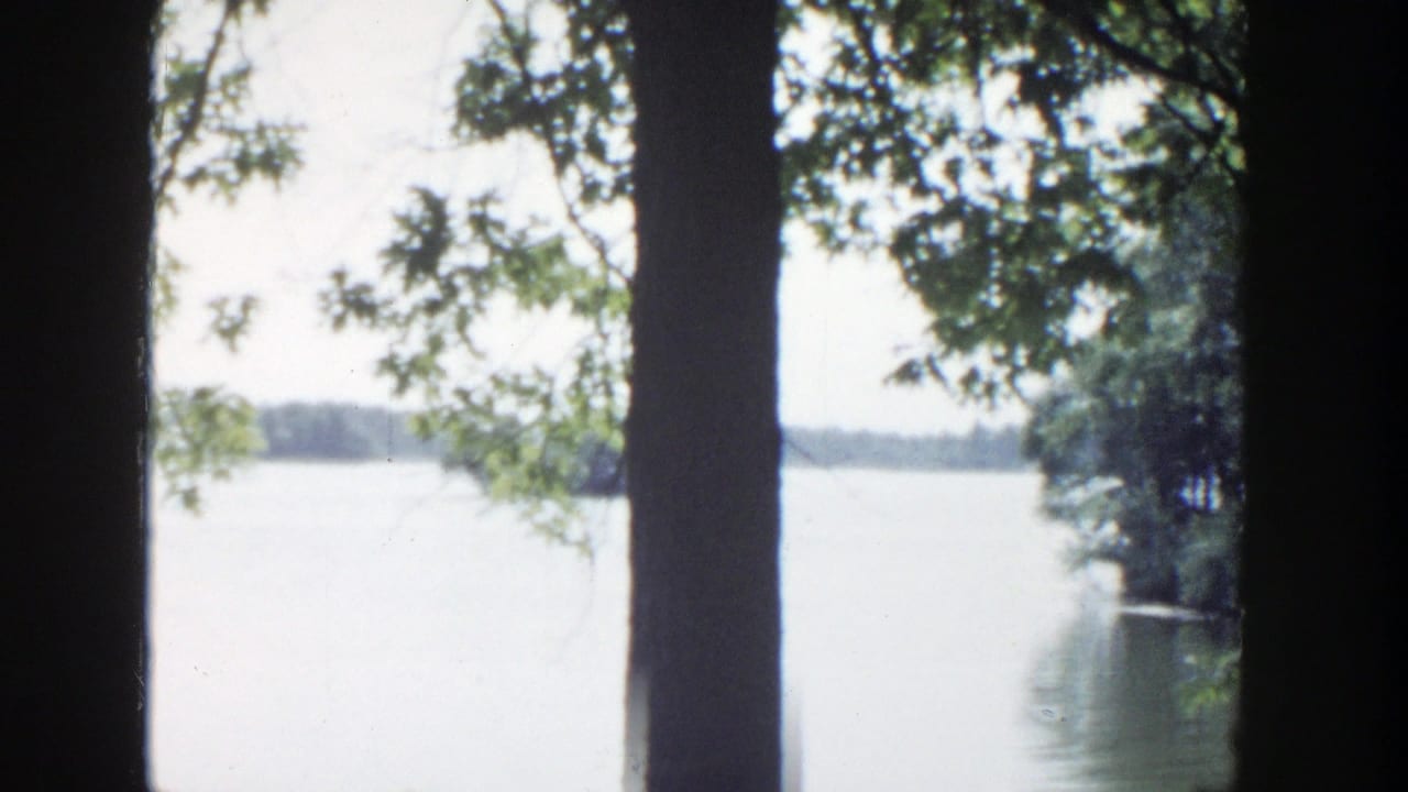 Lake water and distant treeline framed by dark tree trunks and leaves.