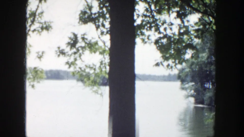 1953 Wisconsin 8mm view of a bright lake and far treeline seen between dark tree trunks and leafy branches.