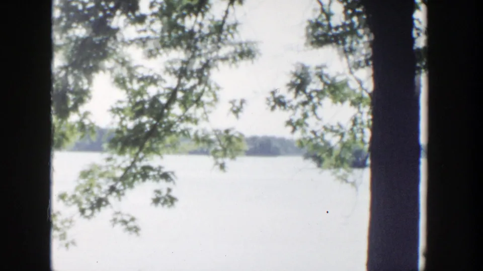 Wisconsin lake view on 8mm film, with overhanging leaves, dark vertical trunks, and a distant wooded shore.