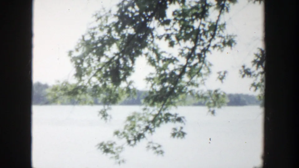 A 1953 Wisconsin home-movie frame shows leaves in the foreground, calm water, and a soft distant treeline.