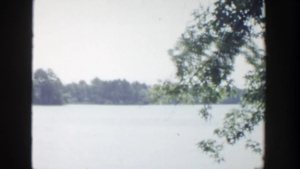 Vintage 8mm frame from Wisconsin shows a calm lake, wooded far shore, and a dark tree trunk dividing the view.