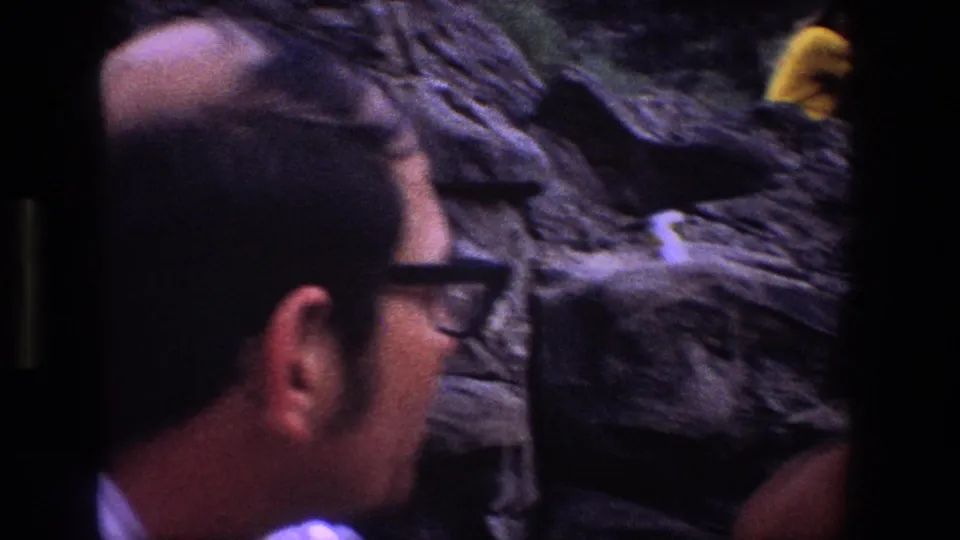 A blurred close foreground view shows the man in glasses near the rocky cliff, with a small pale bird still visible on the rocks.