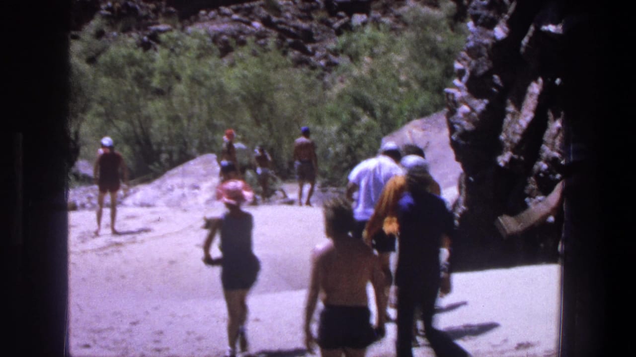 Several people walk in bright sun beside a rocky riverbank with shrubs behind them.