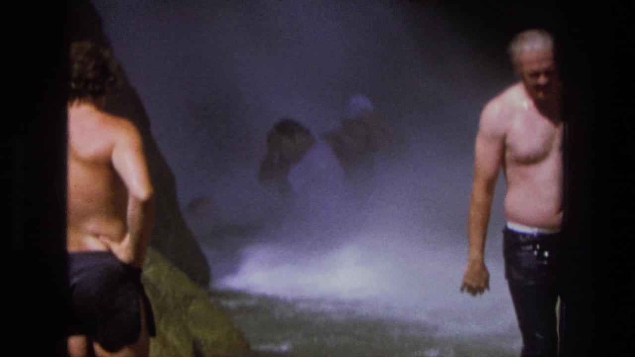 Men in swim trunks stand beside a misty waterfall with water spray behind them.