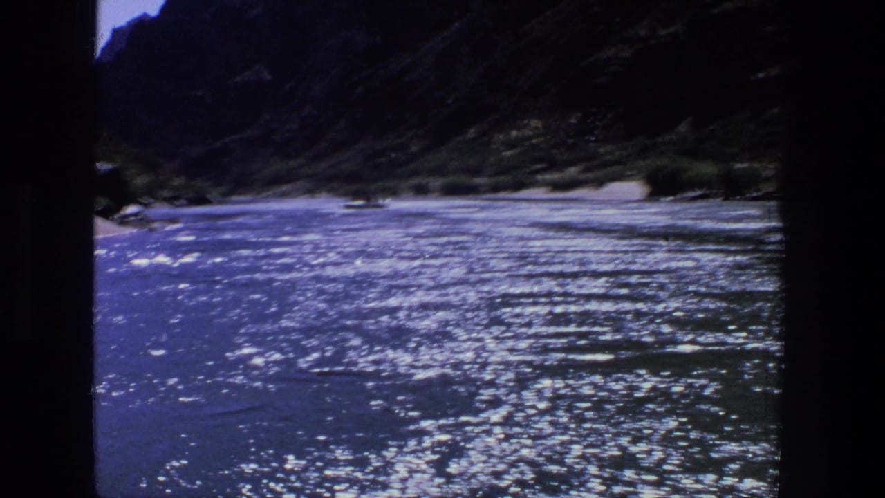 Sparkling river flowing through a dark canyon with sandy banks and shoreline vegetation.