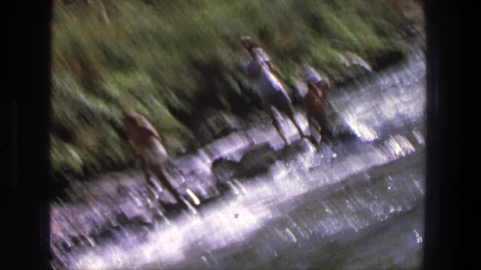 1969 Utah home-movie frame showing blurred people or paddlers near a canoe at the edge of fast-moving whitewater.