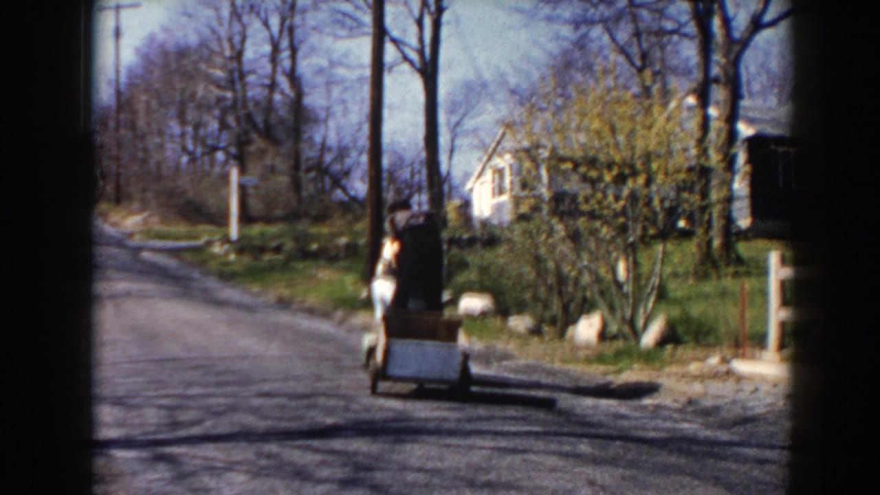 A small cart and trailer move farther down a rural road past trees and houses.