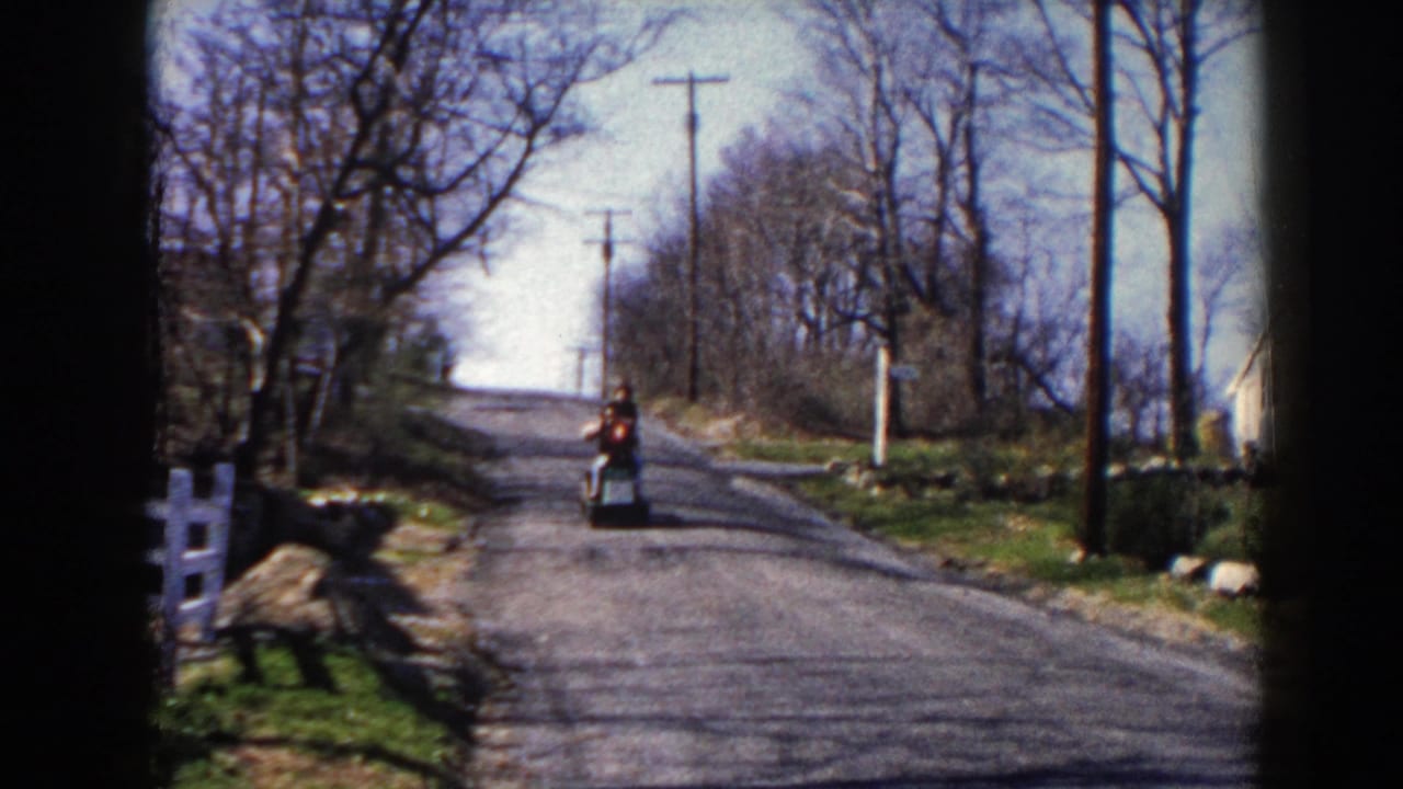 Person in a red sweater rides a scooter down a quiet paved road lined with bare trees.