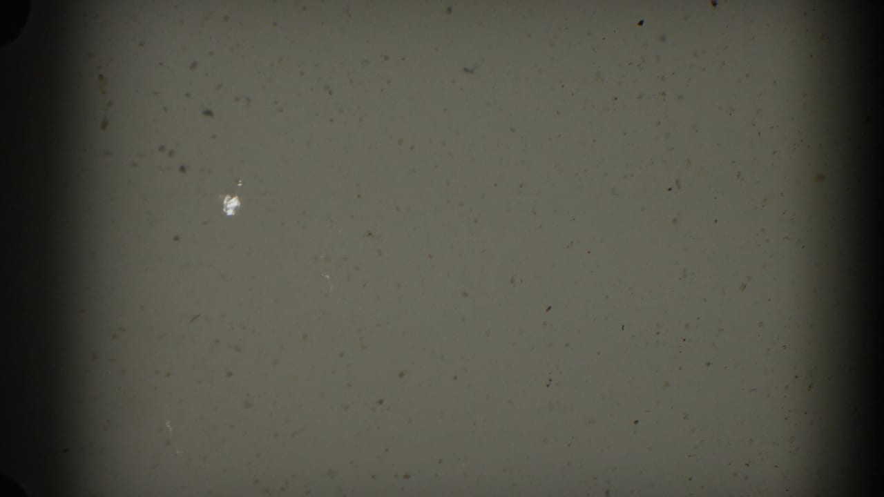 Light gray film frame with scattered dust, a bright speck, and dark vertical edge shadow.