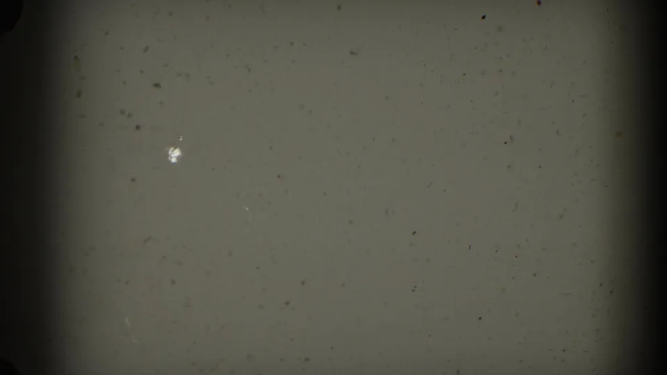 1964 Pequot Lakes 8mm frame showing dust specks, a small bright mark, grain, and darkened film-gate borders.