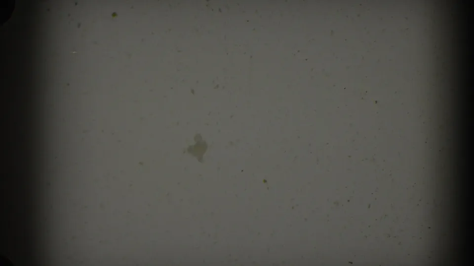 1964 Pequot Lakes 8mm frame showing pale scanned film, dust specks, soft gate vignetting, and a small brownish surface mark.