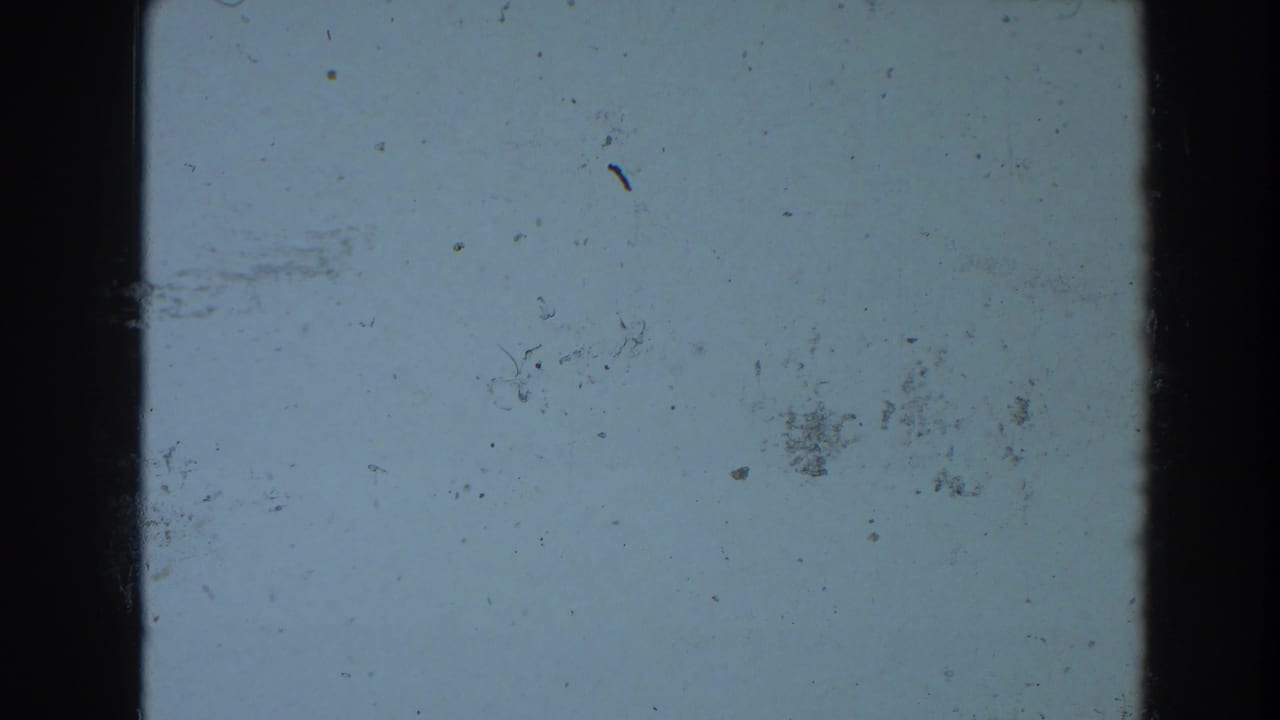 1964 Pequot Lakes 8mm frame showing pale blue-gray film surface, dark borders, dust specks, scratches, and aged celluloid marks.