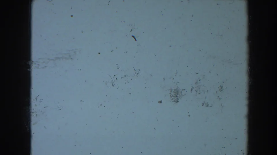 1964 Pequot Lakes 8mm frame showing pale blue-gray film surface, dark borders, dust specks, scratches, and aged celluloid marks.
