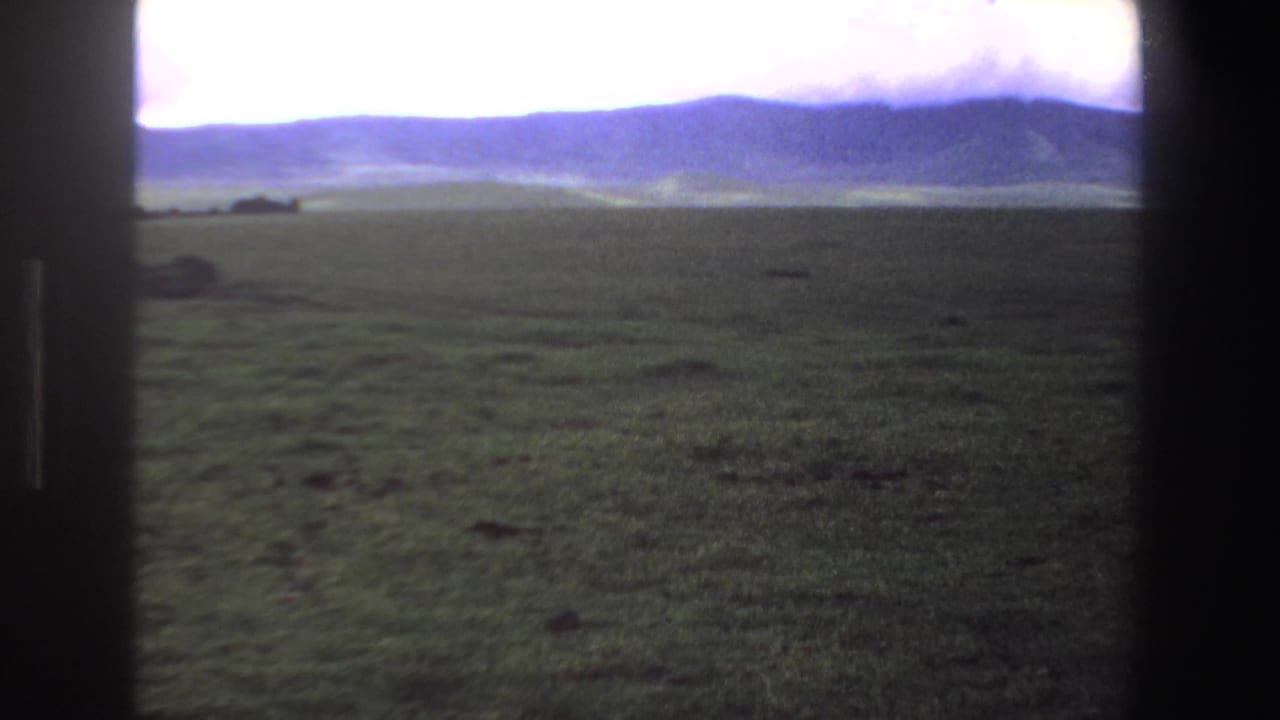 Aerial view over green grassland toward distant low mountains under a pale sky.