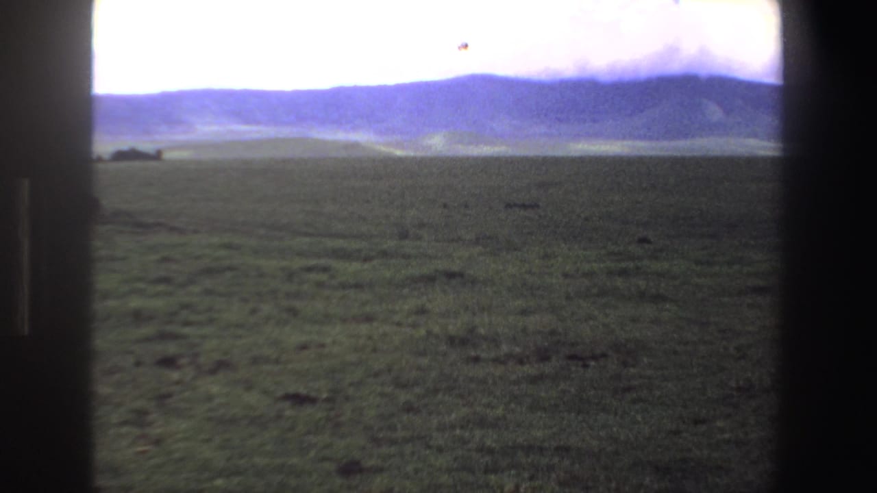 Open grassland seen from above with a hazy mountain ridge in the distance.
