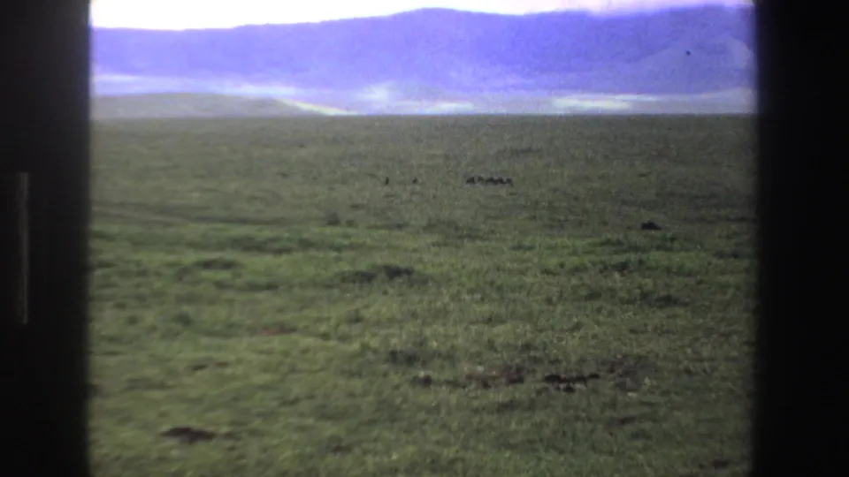 1969 South Africa 8mm aerial frame with mist over grassland and small distant dark shapes on the plain.