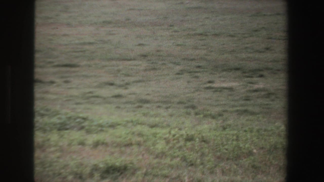 Open grassy field with dark foreground framing and no clear person visible.