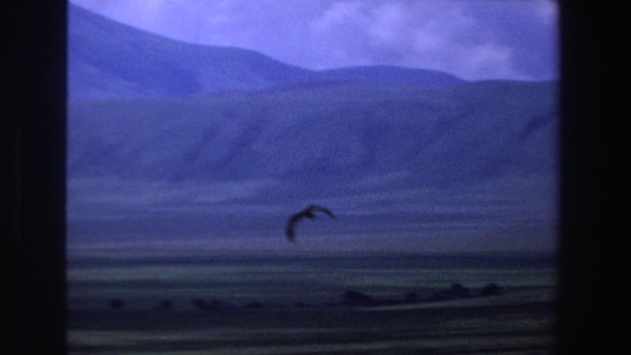 Bird silhouette flying over distant mountains beneath a purple-blue sky.