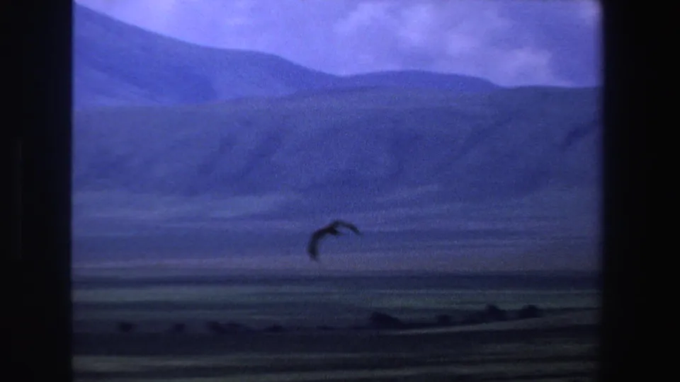 1969 South Africa 8mm frame showing a bird silhouette crossing a purple-blue sky above distant mountain ridges.