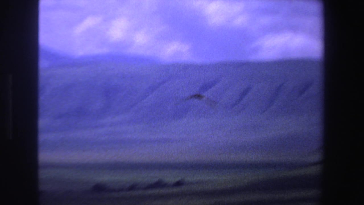 1969 South Africa 8mm frame with a small bird silhouette above a broad mountainous horizon and violet-blue clouds.