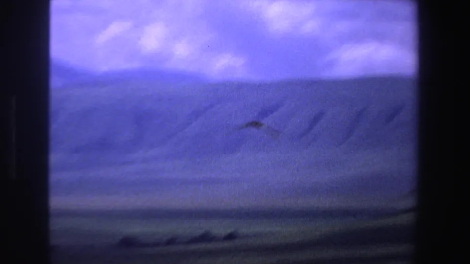 1969 South Africa 8mm frame with a small bird silhouette above a broad mountainous horizon and violet-blue clouds.