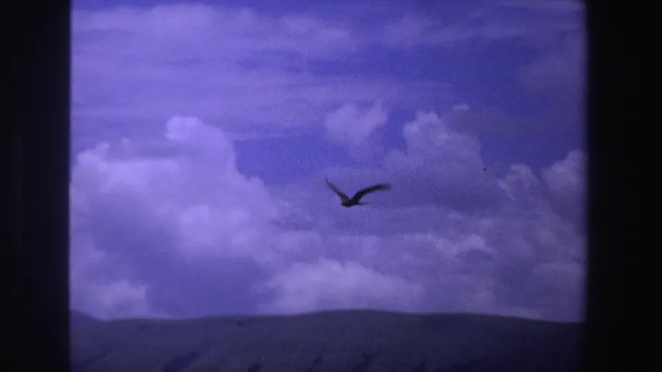1969 South Africa 8mm frame showing a bird silhouetted against bright clouds over a low mountain ridge.