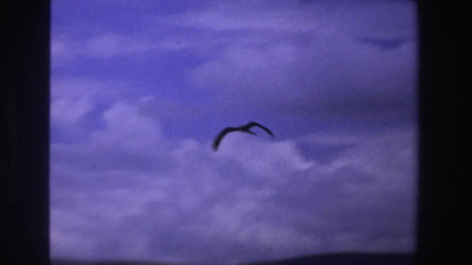 1969 South Africa 8mm frame showing a bird with wings spread in front of a cloudy purple-blue sky above dark hills.