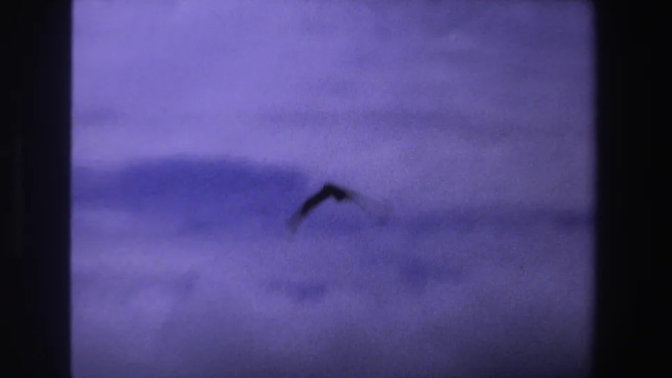 1969 South Africa 8mm frame with a small bird silhouette crossing a purple-tinted cloudy sky.