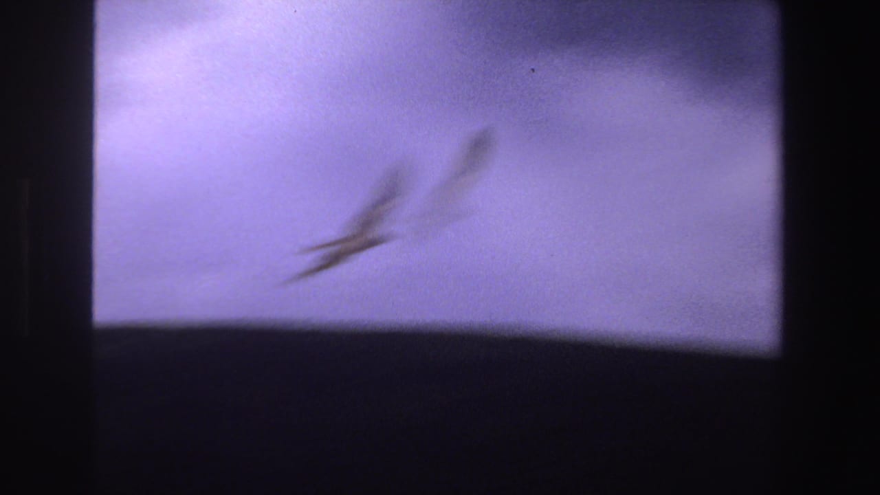 Blurred large bird crossing a purple-tinted sky within dark film-frame borders.